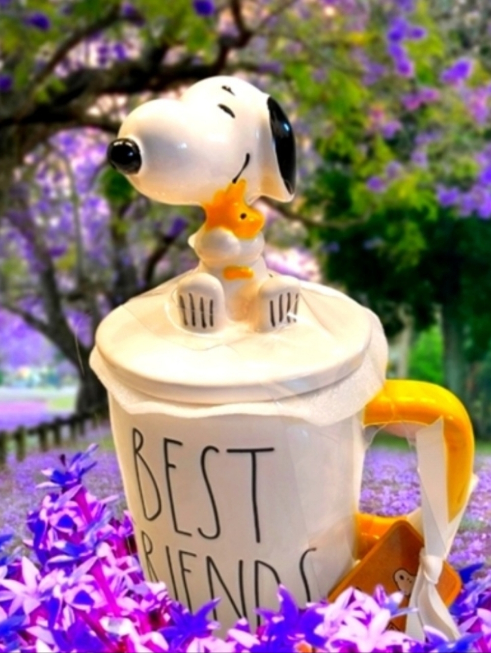 NWT RAE DUNN PEANUTS BEST FRIENDS  MUG WITH TOPPER
